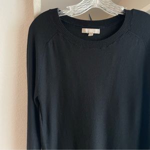 BANANA REPUBLIC Xtra Fine Merino Wool Top